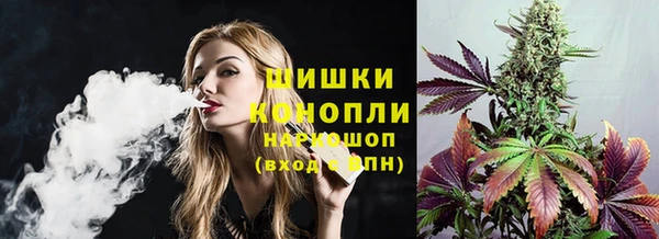 молекула духа Заводоуковск