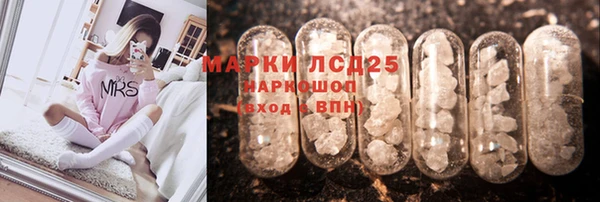 PSILOCYBIN Заволжск