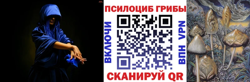 Галлюциногенные грибы мицелий  Купить  Шали 